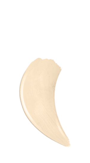 Silkfull Perfection Concealer