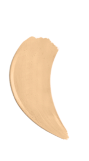 Silkfull Perfection Concealer